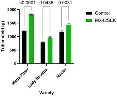 A complex biostimulant based on plant flavonoids enhances potato growth and commercial yields